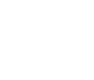 Minnesota Basset Rescue