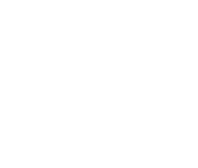 Minnesota Basset Rescue